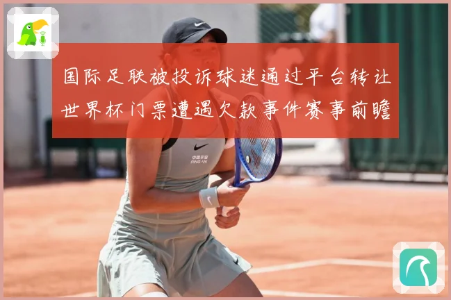 国际足联被投诉球迷通过平台转让世界杯门票遭遇欠款事件赛事前瞻-深度解析