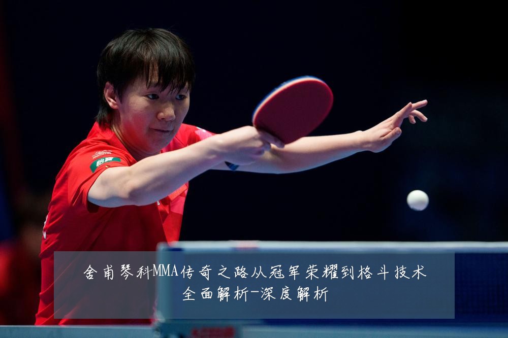 舍甫琴科MMA传奇之路从冠军荣耀到格斗技术全面解析-深度解析
