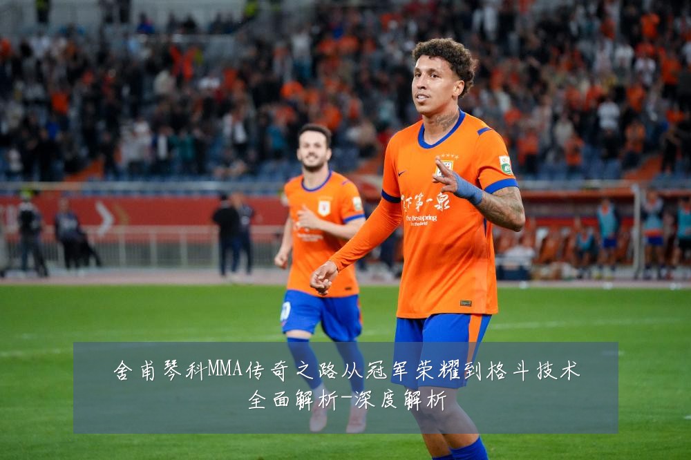 舍甫琴科MMA传奇之路从冠军荣耀到格斗技术全面解析-深度解析